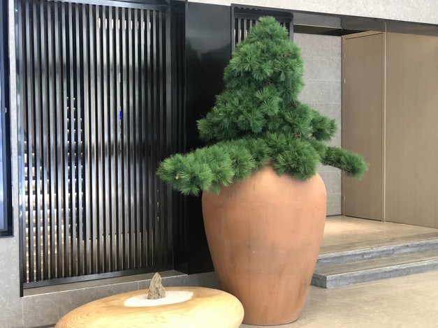 客房